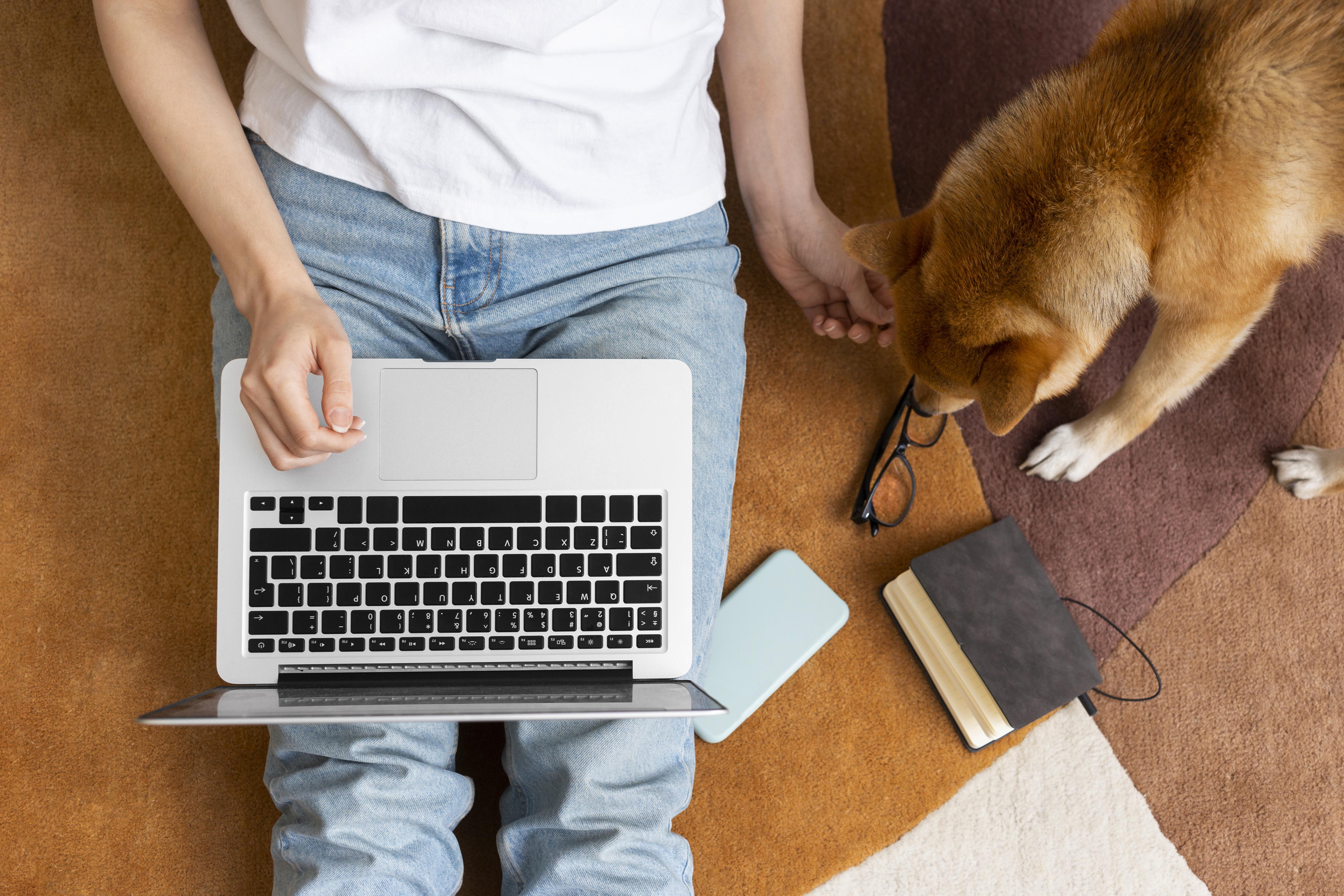 We’re Not Just a Petcare Platform, We’re a Tech Company with a Heart We’re Not Just a Petcare Platform, We’re a Tech Company with a Heart