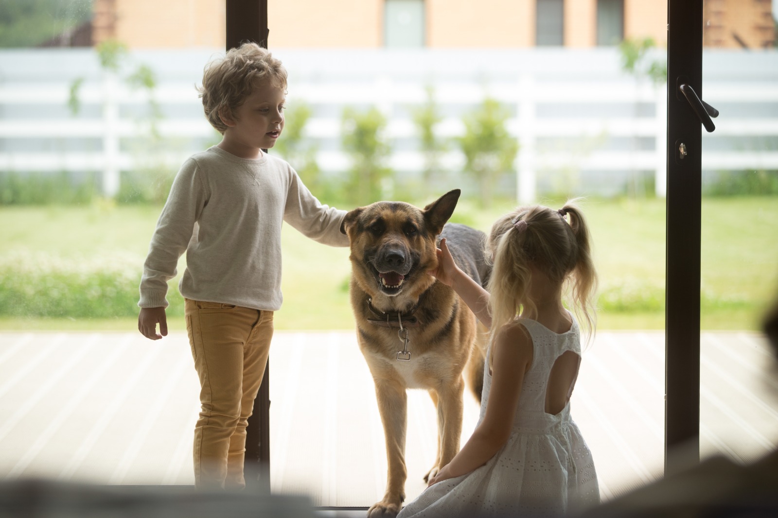 Back-to-School Season: Helping Pets Adjust When Kids Aren’t Home Back-to-School Season: Helping Pets Adjust When Kids Aren’t Home